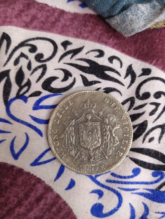 WhatsApp Image 2024-12-16 at 13.49.17.jpeg