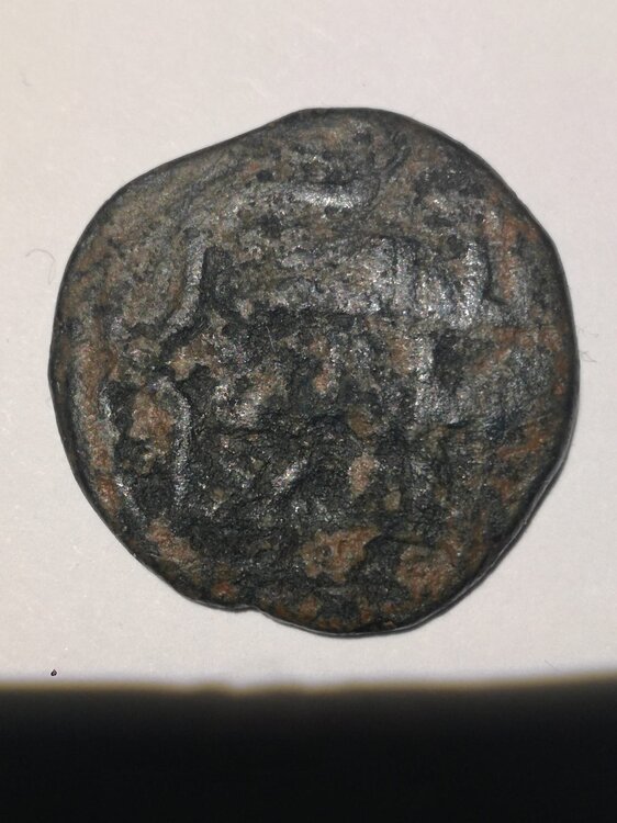 WhatsApp Image 2024-12-17 at 21.55.23.jpeg