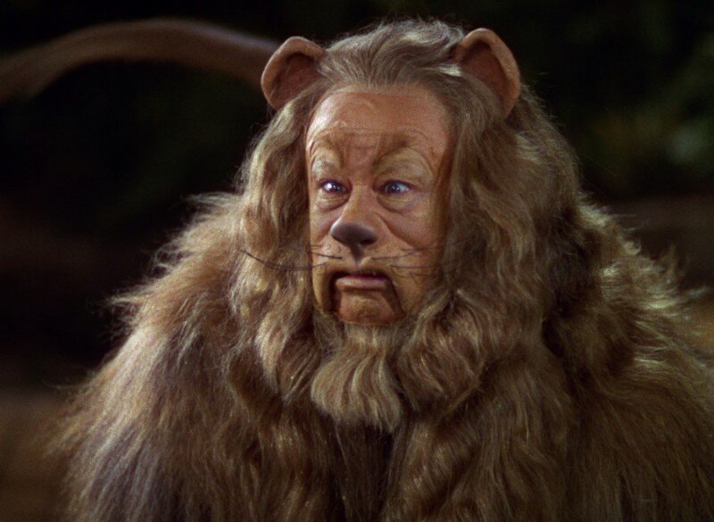 cowardly lion.jpg