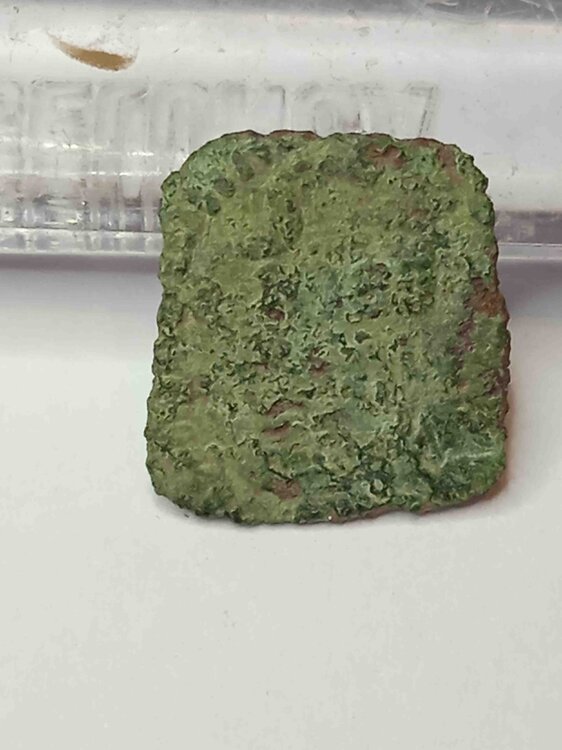 forse quattrino .jpg