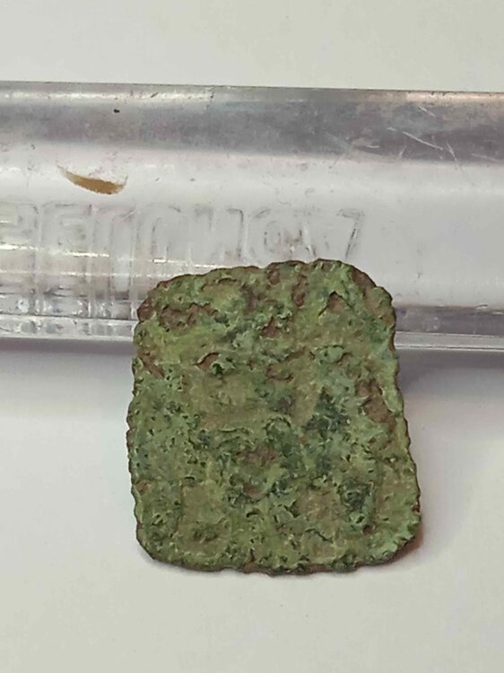 forse quattrino1.jpg