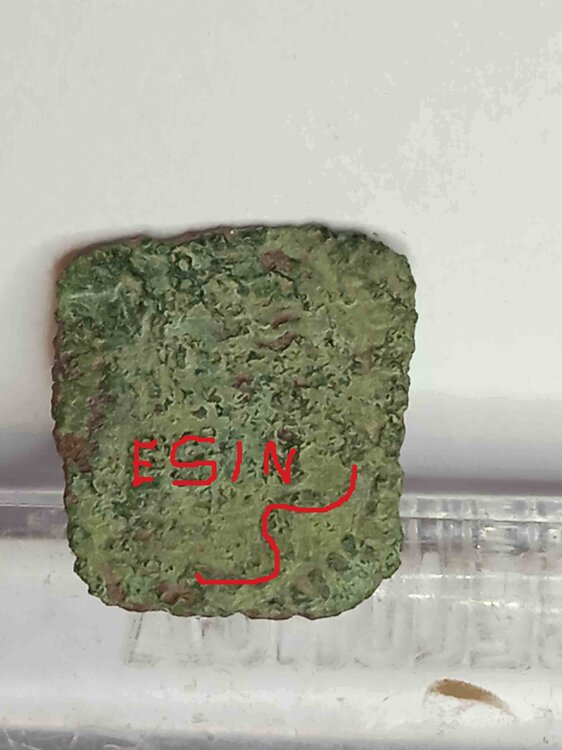 forse sesino di  Modena.jpg