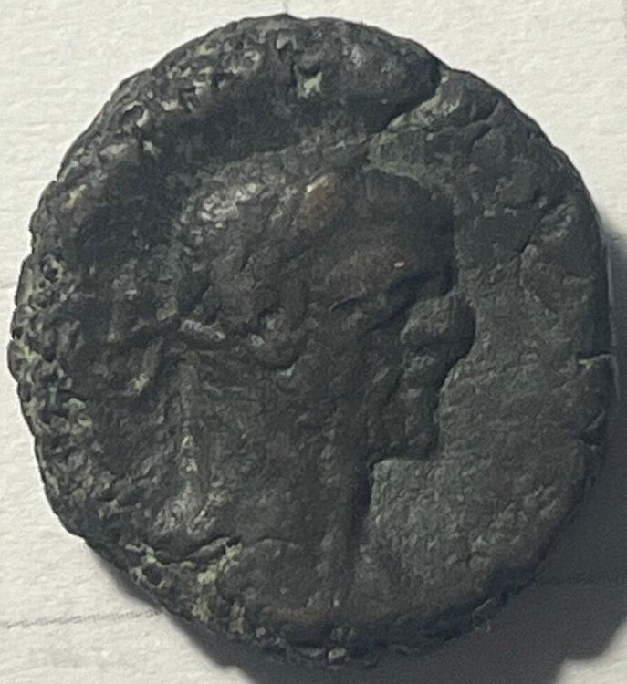 sconosciuta4 dritto.jpg