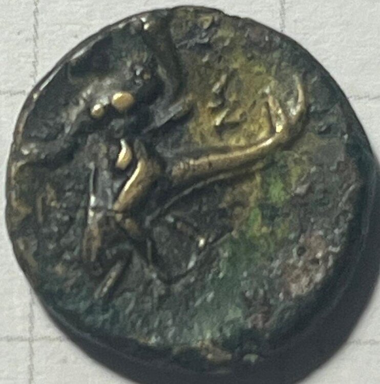 sconosciuta5 dritto tarentum .jpg