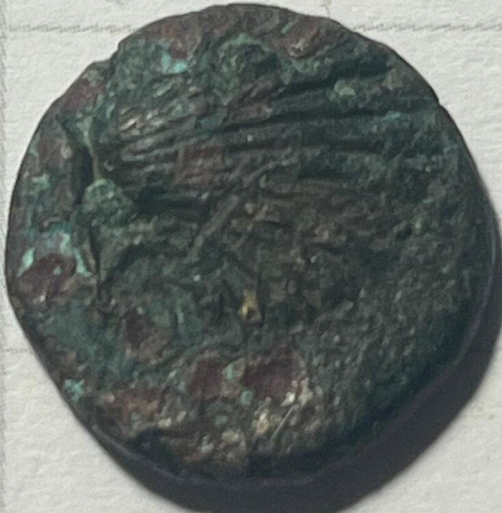 sconosciuta 5 tarentum 275-200aC rovescio.jpg