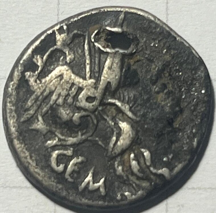 sconosciuta6 dritto.jpg