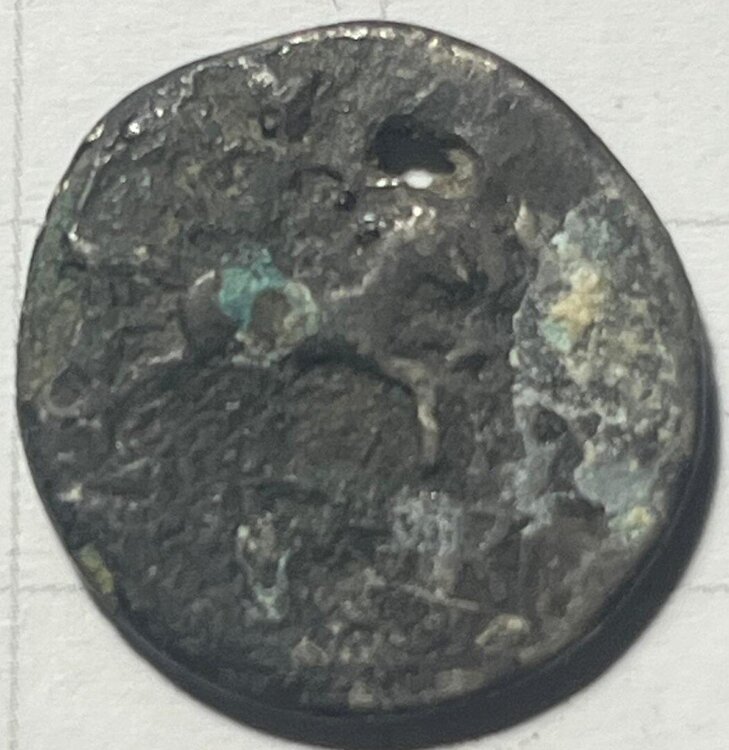 sconosciuta6 rovescio.jpg