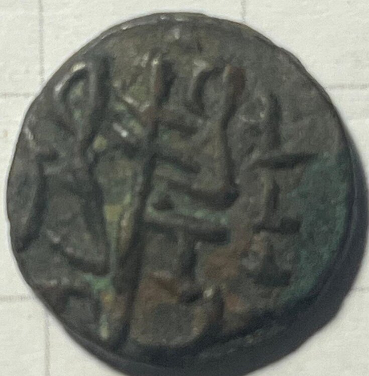 sconosciuta7 dritto.jpg