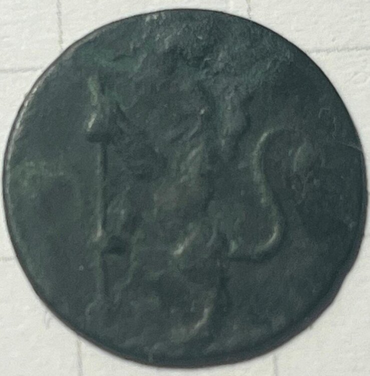 sconosciuta dritto.jpg