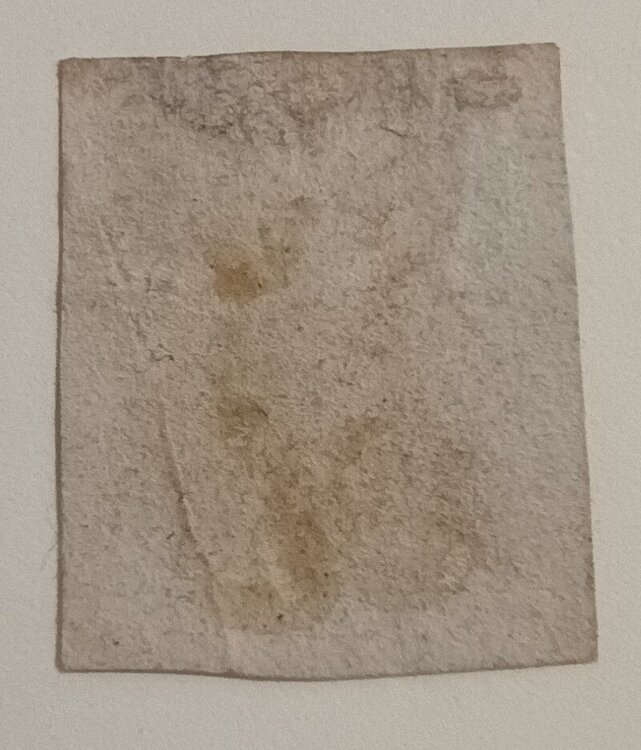 IMG_20250106_140157780 (1).jpg