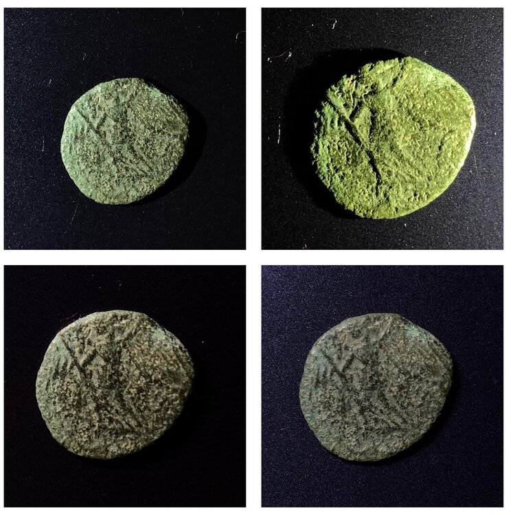 Untitled Project-4.jpg