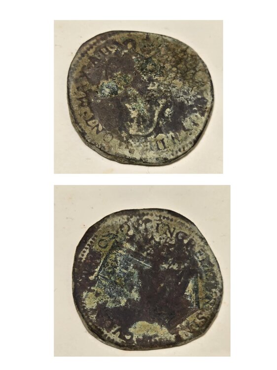 Untitled design - 1.jpeg