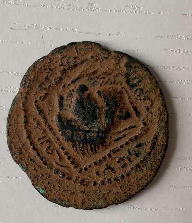 WhatsApp Image 2024-11-17 at 16.44.47 (1).jpeg