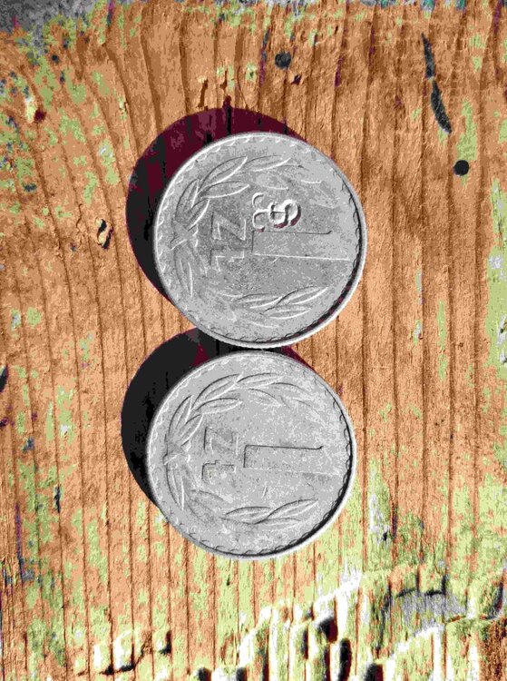 WhatsApp Image 2025-01-16 at 14.02.20.jpeg