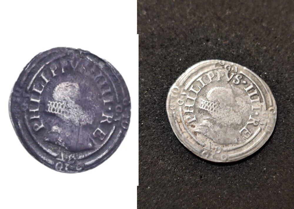 carlino antitosatura D.jpg