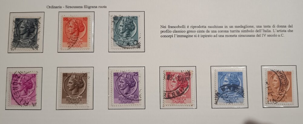 IMG_20250209_161637537 (1).jpg