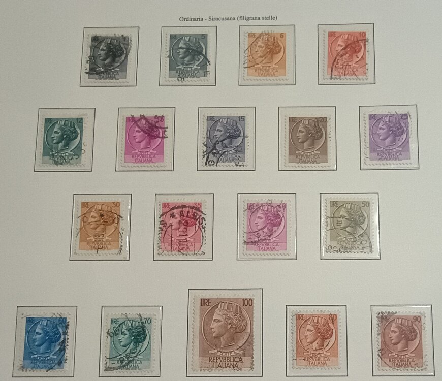 IMG_20250209_161715845 (1).jpg