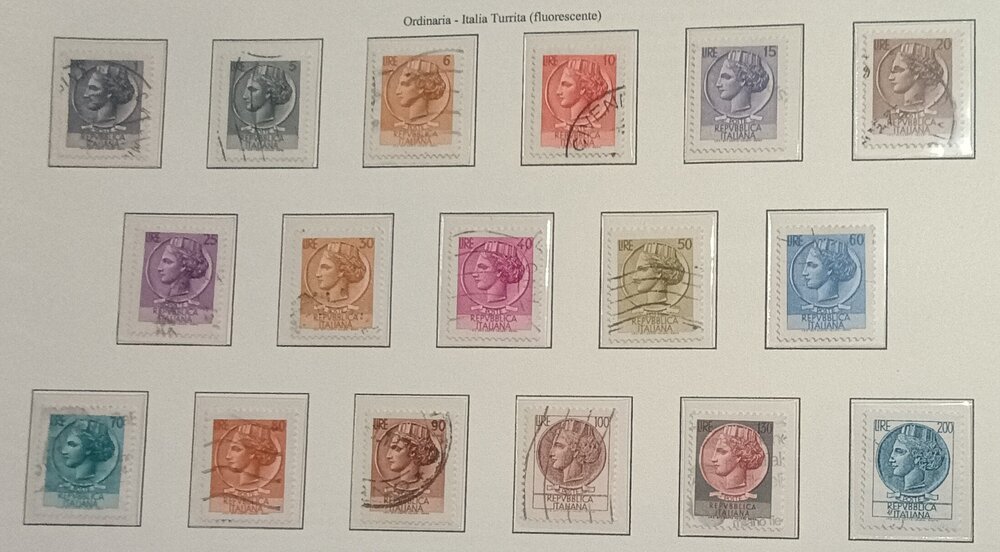 IMG_20250209_161914100 (1).jpg