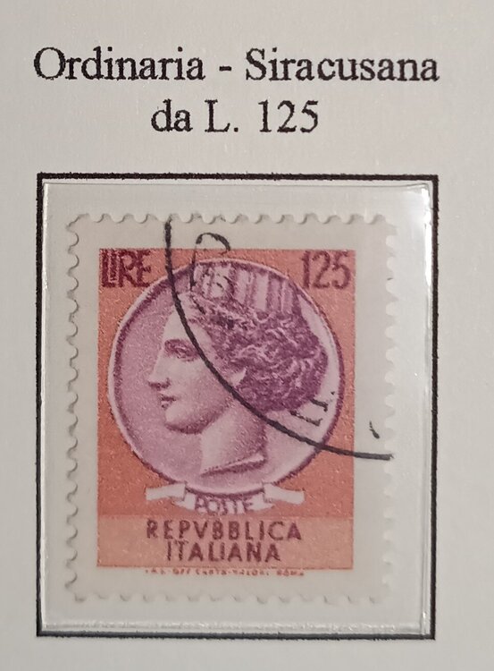 IMG_20250209_163135917 (1).jpg