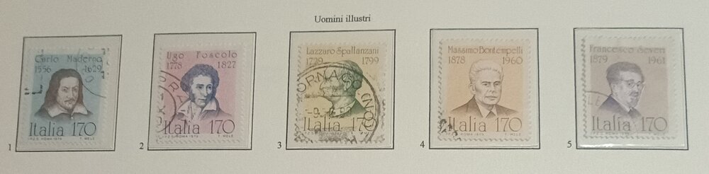 IMG_20250209_170254419 (1).jpg