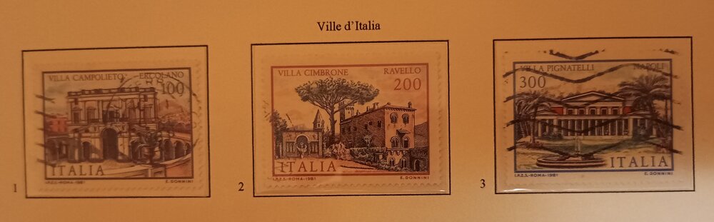 IMG_20250210_221027055 (1).jpg