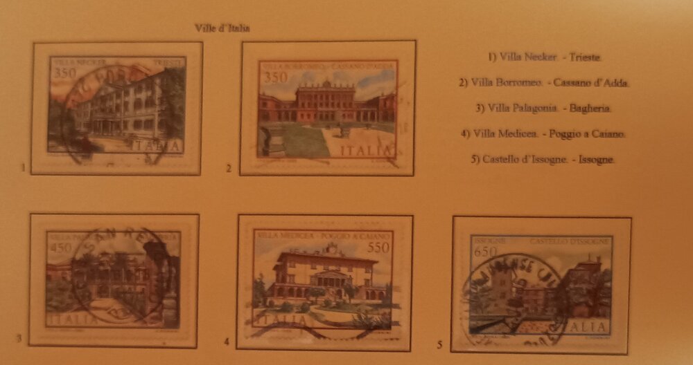 IMG_20250210_222107141 (1).jpg