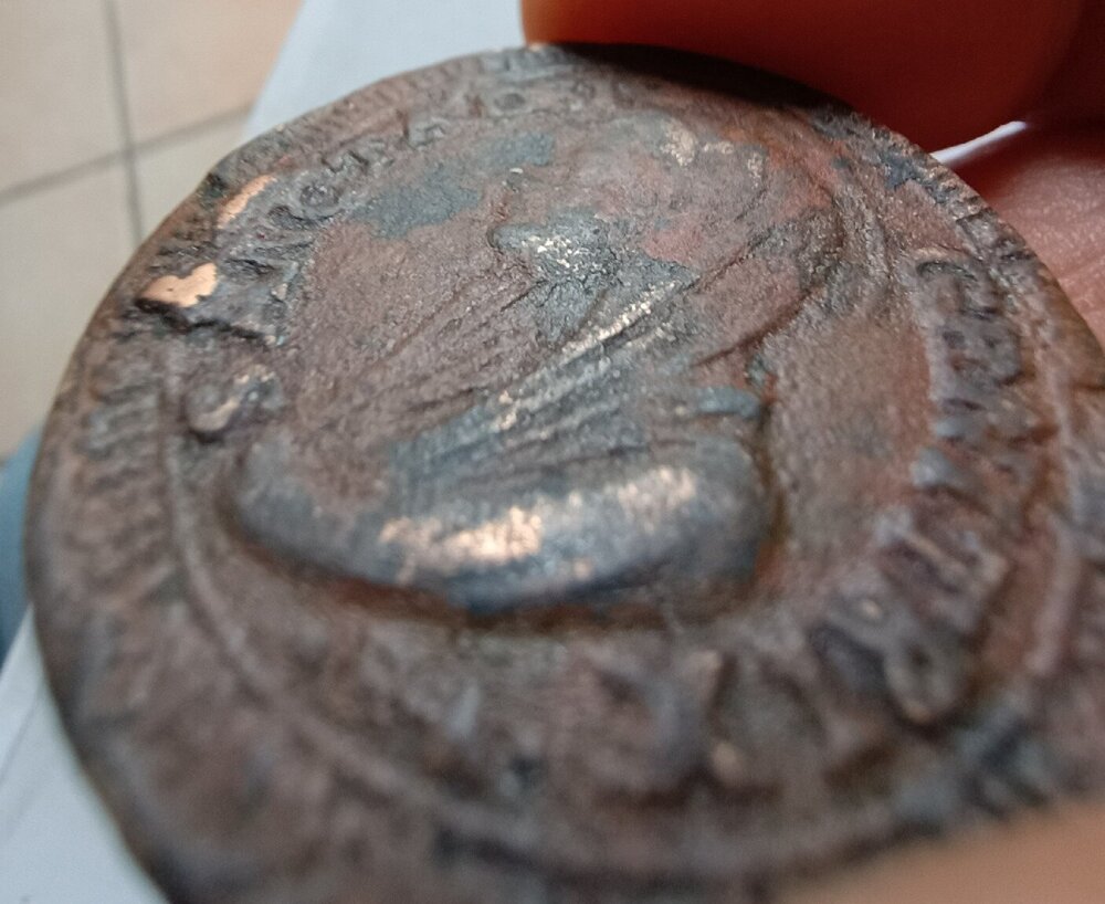 IMG_20250212_144209644 3334.JPG