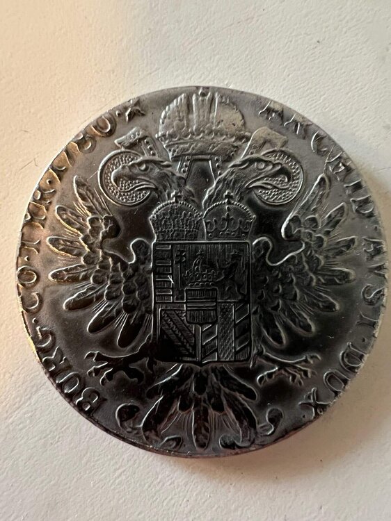 Immagine WhatsApp 2025-02-28 ore 12.34.38_87405a10.jpg