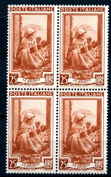 Lavoro 25 fronte384.jpg