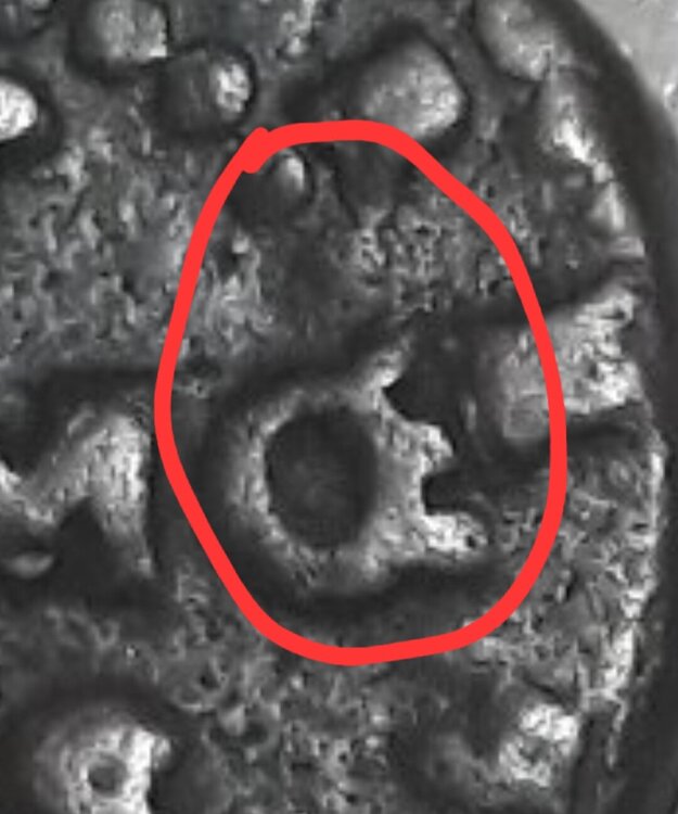 Screenshot_20250212_104048_Samsung Internet.jpg