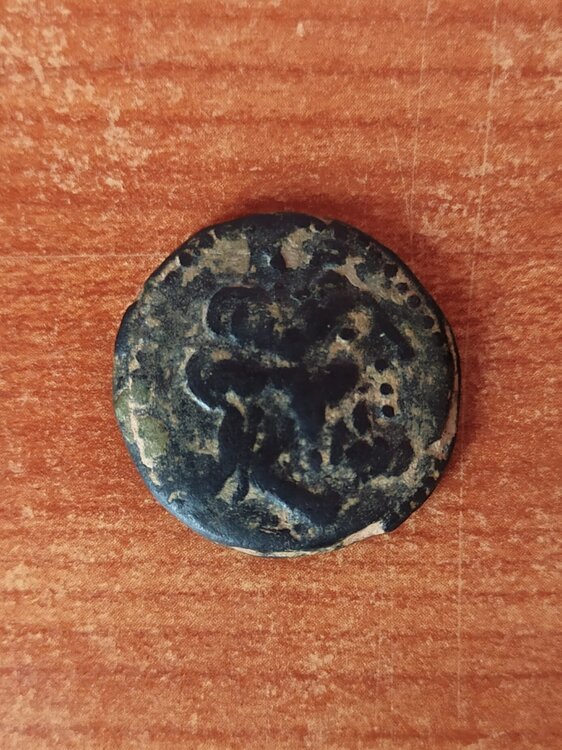 Semisse da Classificare Testa compresso.jpg