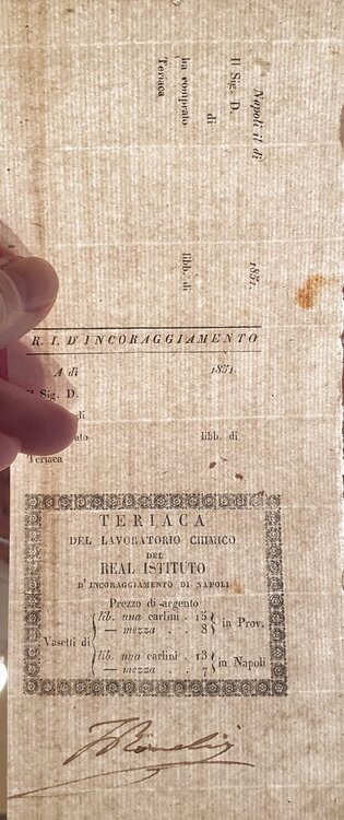 WhatsApp Image 2025-02-06 at 09.12.17 (1).jpeg