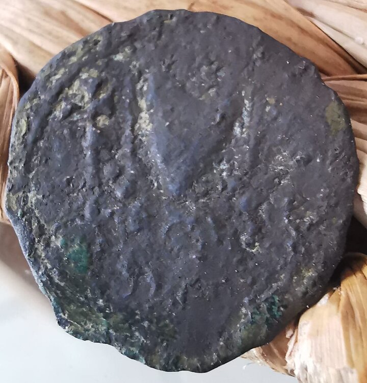 WhatsApp Image 2025-02-22 at 12.58.58.jpeg