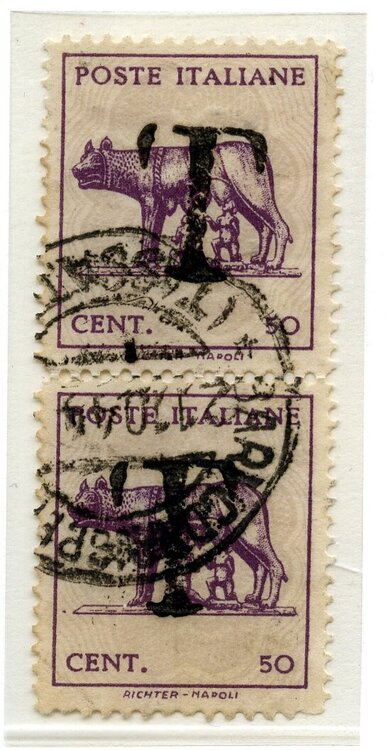 lupa 1 tipo coppia con T452.jpg