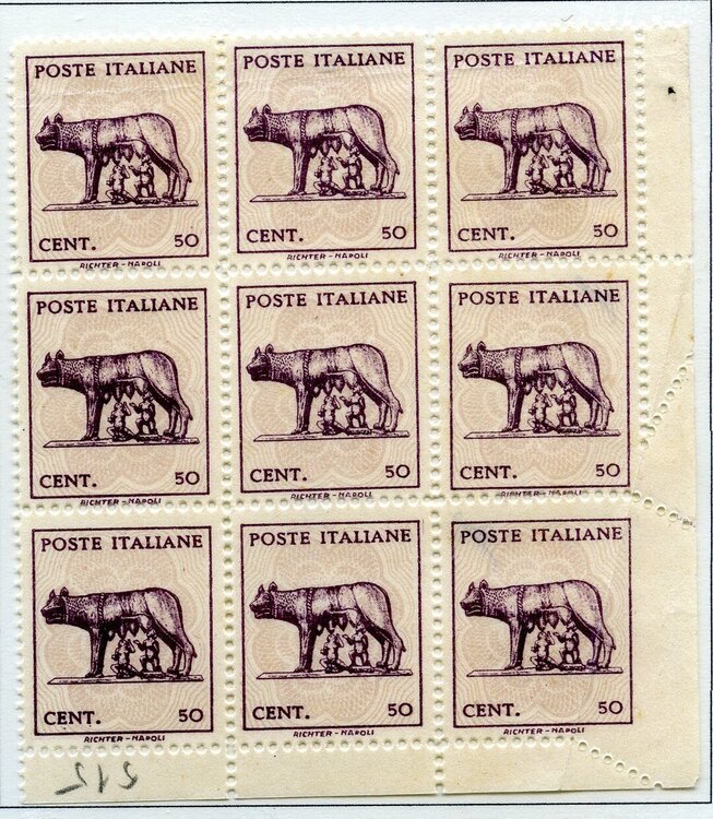 lupa 2 - blocco480.jpg