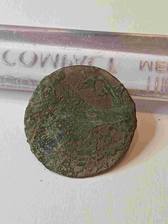 quattrino ravenna.jpg