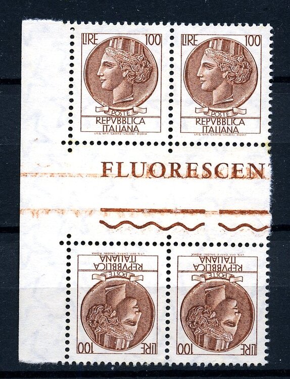 siracusana  tetebush348.jpg