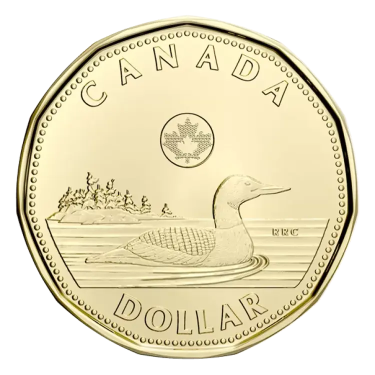 2022-canadian-1-dollar-common-loon-loonie-coin-1-800x800.thumb.webp.0e956c30680434bb75237f1b248d0bfd.webp