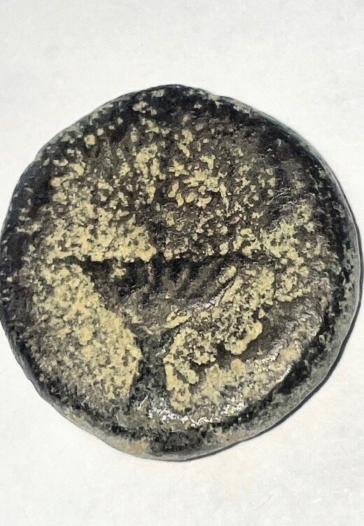 BRONZO 1 ROVESCIO.JPG