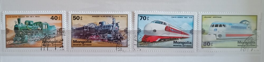 IMG_20250226_153448493 (2).jpg