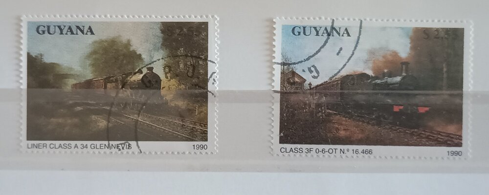 IMG_20250226_153525236 (1).jpg