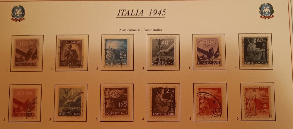 IMG_20250302_190511245 (1).jpg