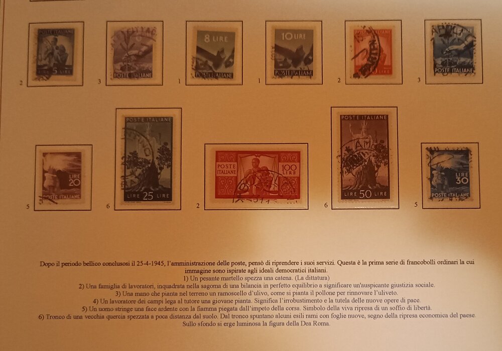 IMG_20250302_190523140 (1).jpg