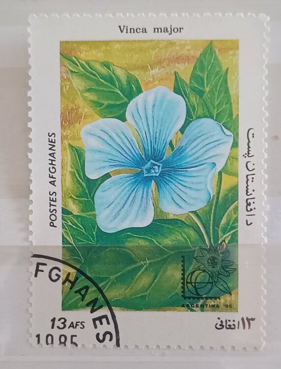 IMG_20250303_144659723 (1).jpg