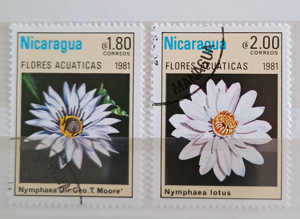 IMG_20250303_144709479 (1).jpg