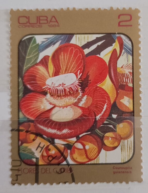 IMG_20250303_144733816 (1).jpg