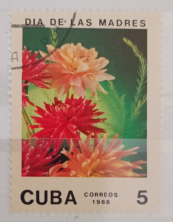 IMG_20250303_144738753 (1).jpg