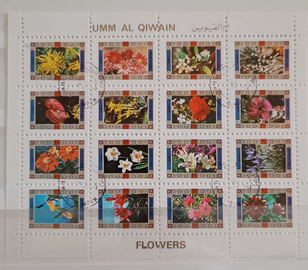 IMG_20250303_144749448 (1).jpg