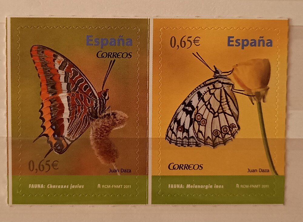 IMG_20250306_204033852 (1).jpg