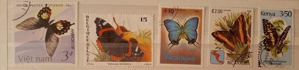 IMG_20250306_204038458 (1) (1).jpg